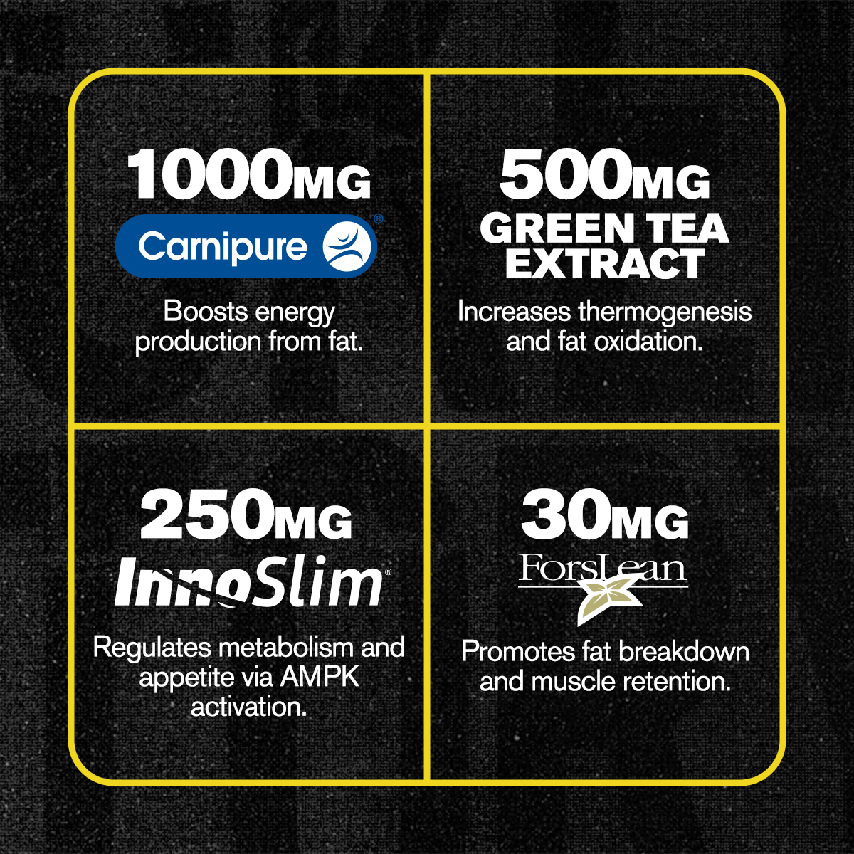 Lean XT MAX Stim-Free Fat Burner