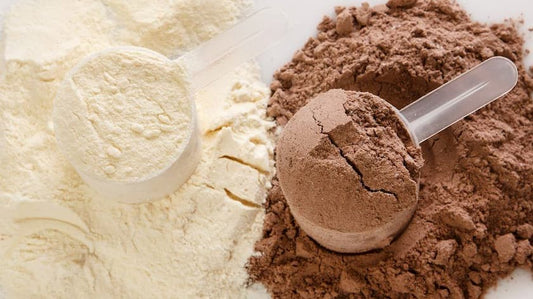 The Best Protein Powder for Building Muscle