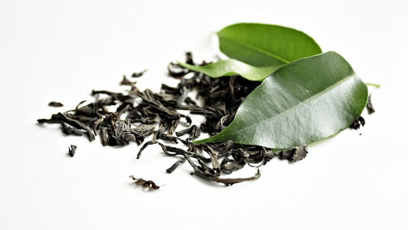 Using Green Tea Extract Supplements for Fat Burning