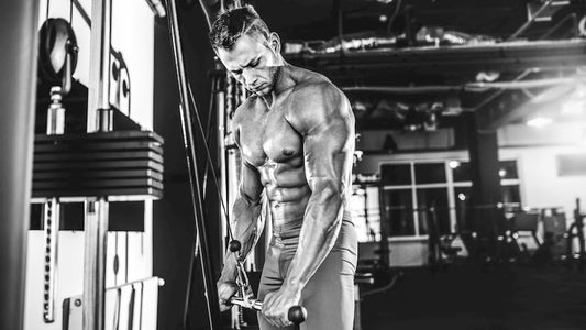 4 Reasons Why You’re Not Building Muscle