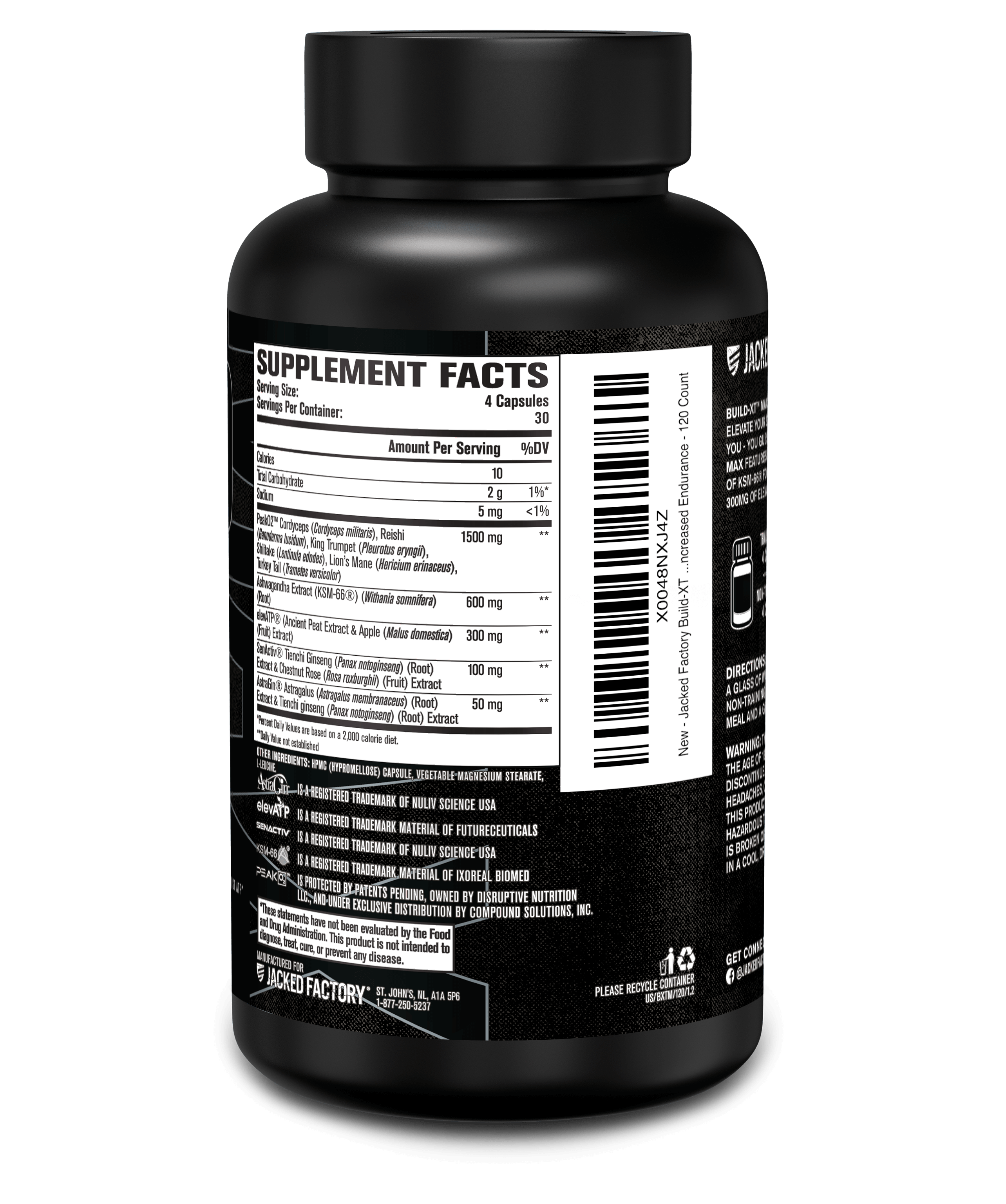 Build XT MAX - Elite Muscle Builder