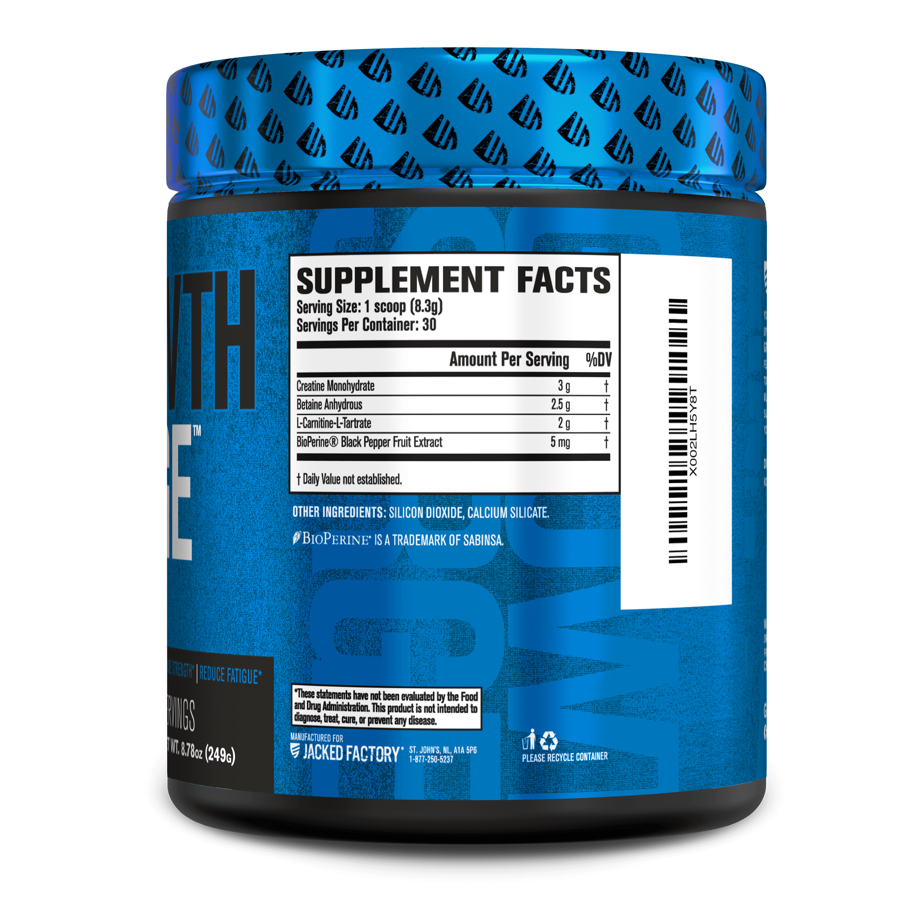 Growth Surge - Post Workout Muscle Builder