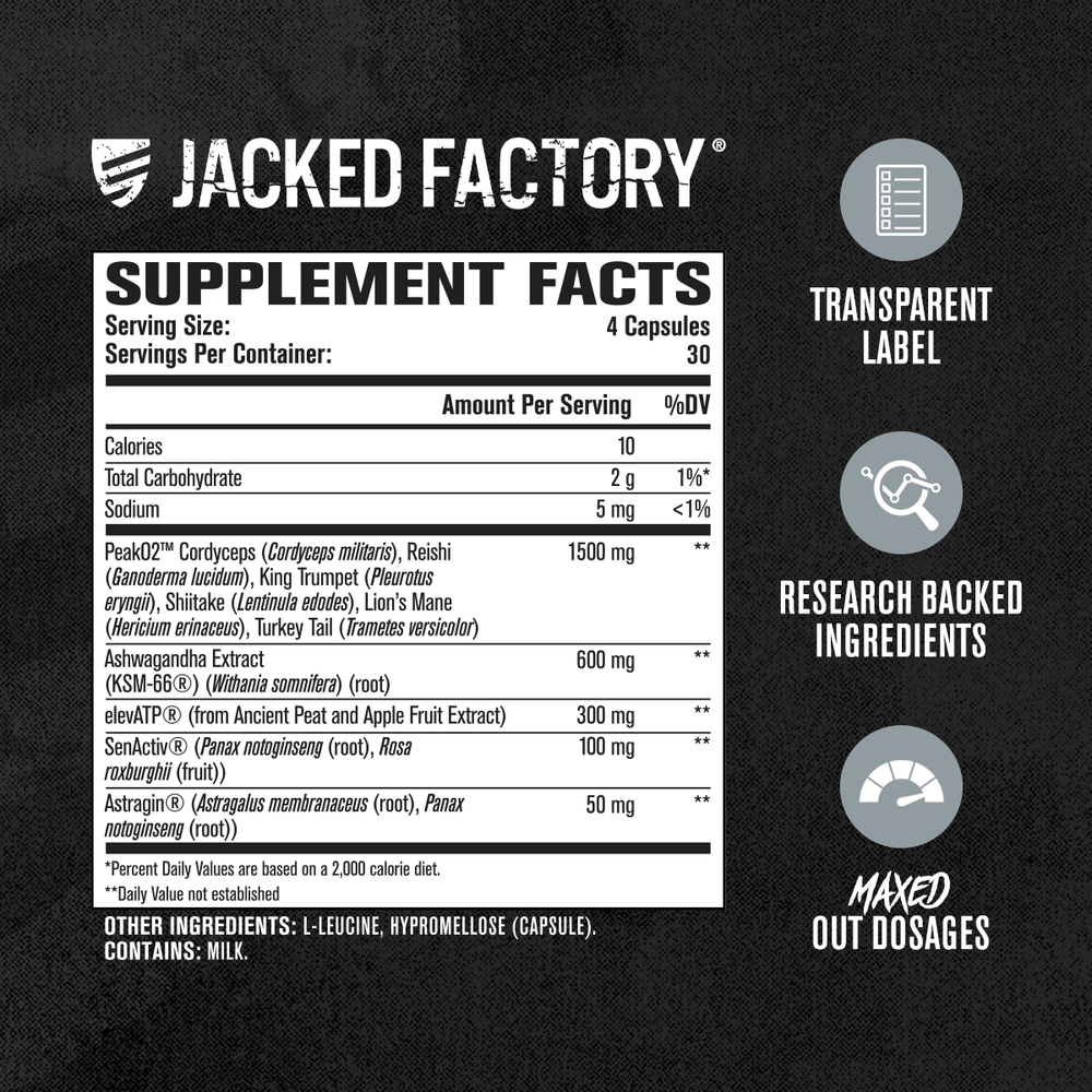 Build XT Max | Jacked Factory