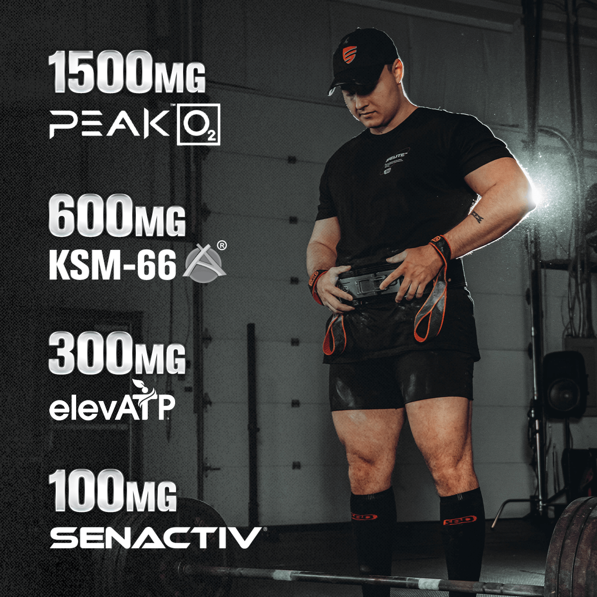 Build XT MAX - Elite Muscle Builder