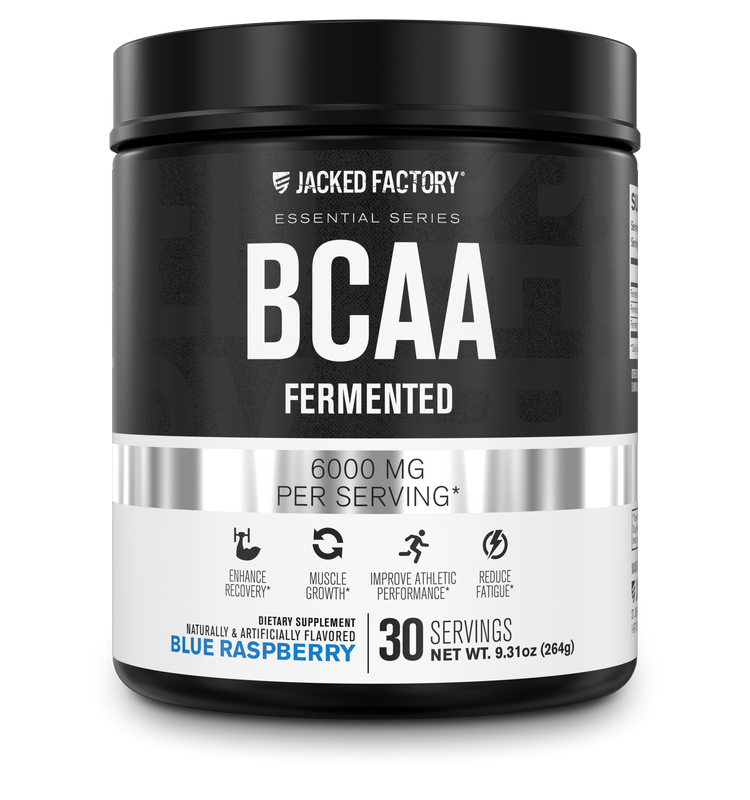 Jacked Factory's 30 servings blue raspberry BCAA Fermented 6000mg in a black bottle with a white and grey label